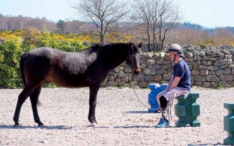 Horseback UK.